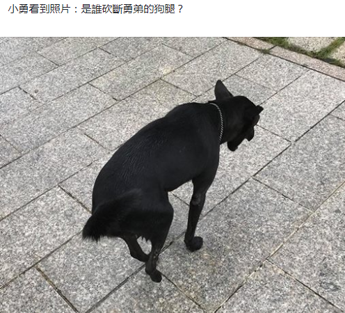 ⭐卖
ins独立站号
怎么买到纯手工号