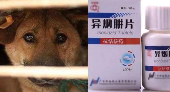 ⭐耐用的
微信活跃老号
去哪里批量买