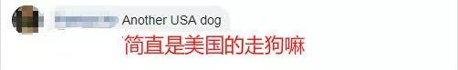 ⭐专业出售
Tiktok商业广告号
资源购买
